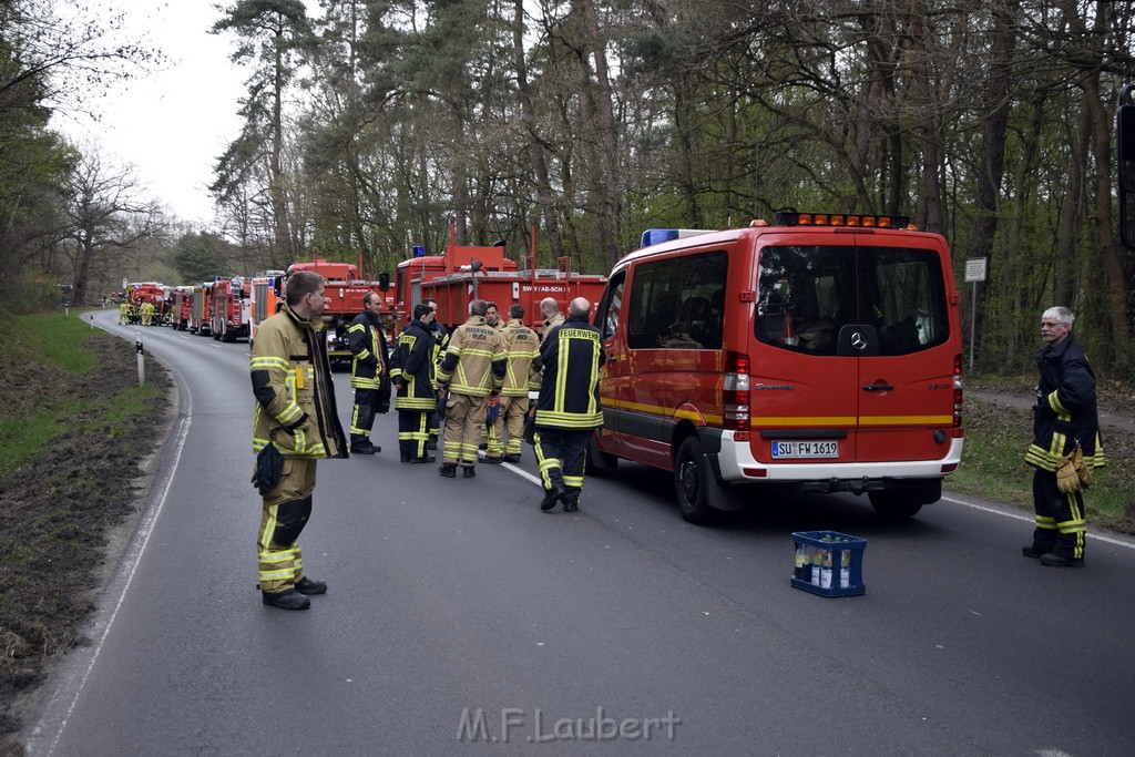 Waldbrand Wahner Heide Troisdorf Eisenweg P262.JPG - Miklos Laubert